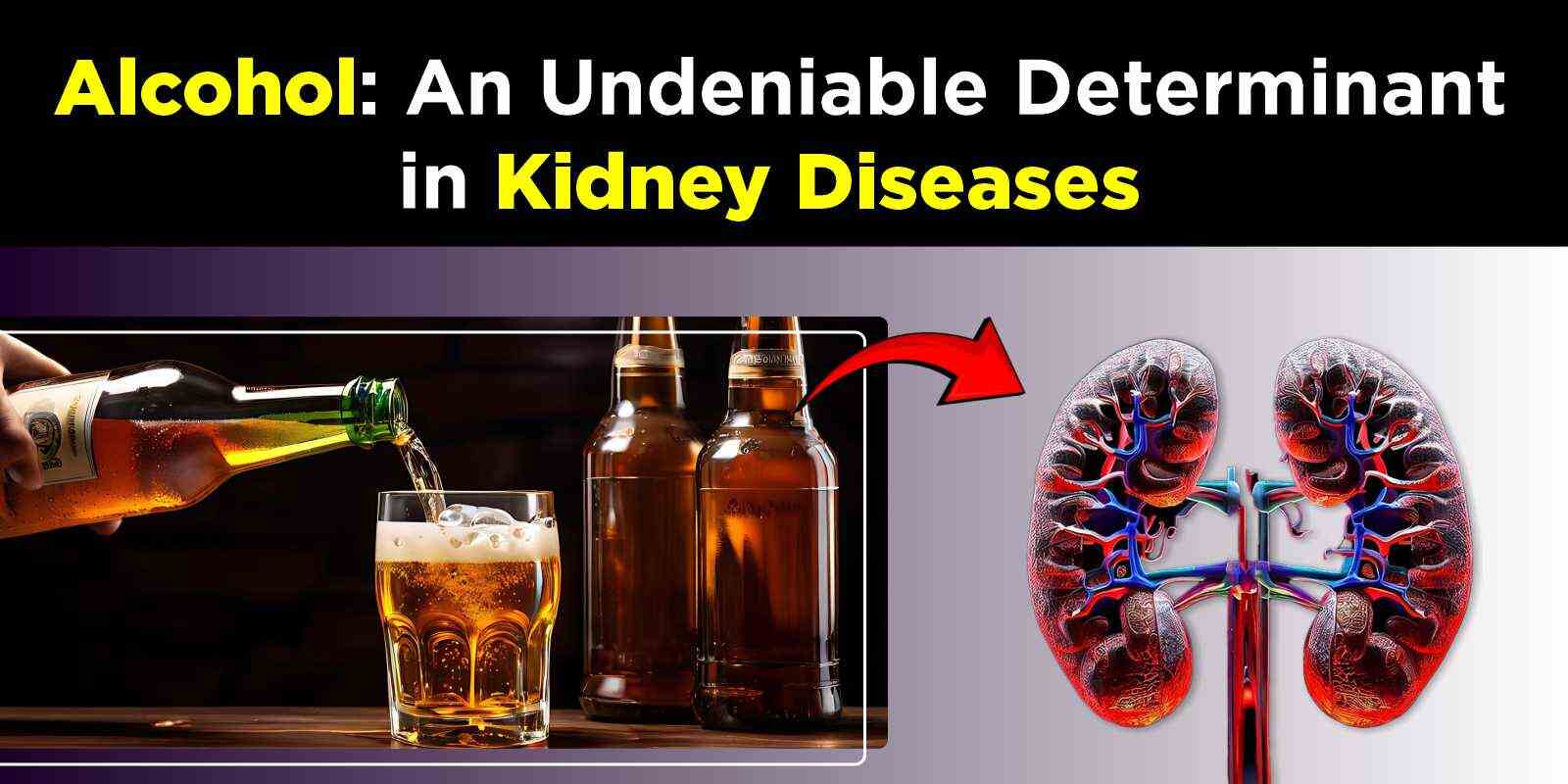 Alcohol An Undeniable Determinant in Kidney Diseases